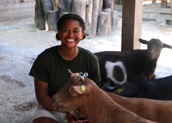 Selena Johnson, de 17 años, posa con cabras en el zoológico Franklin Park. Johnson trabaja los veranos en el zoológico a través de su programa ZooTeen.