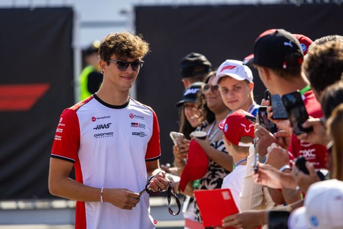 Oliver Arman, grupo Haas F1