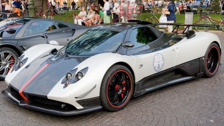 Pagan Zonda blanco con una franja negra en el parque.