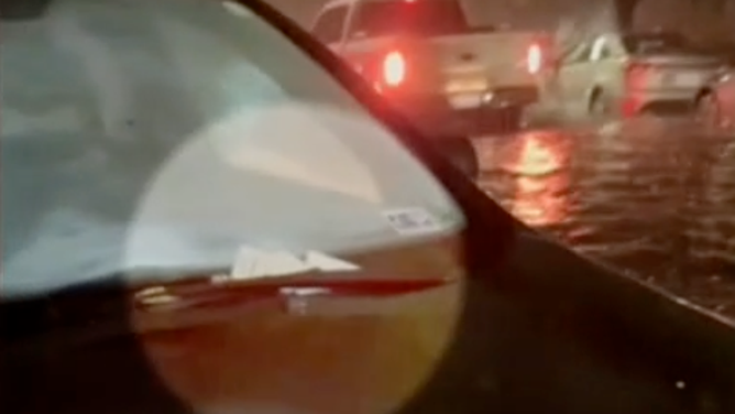 El auto presentado recibe una tarjeta