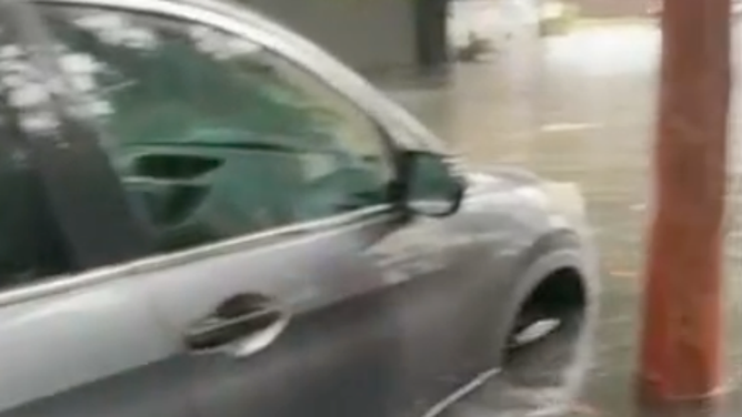 El auto presentado recibe una tarjeta